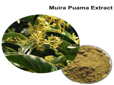 Muira puama