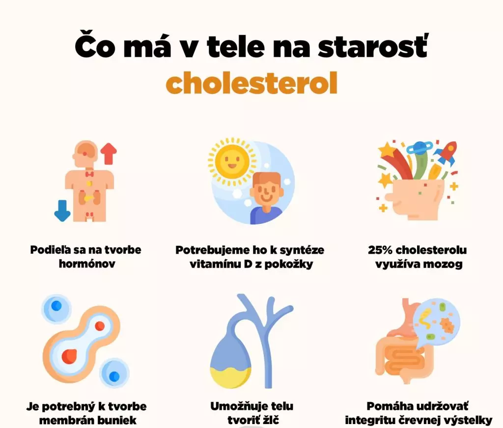 cholesterol v tele